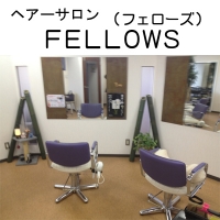 FELLOWS
