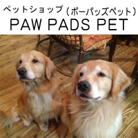 PAW PADS PET